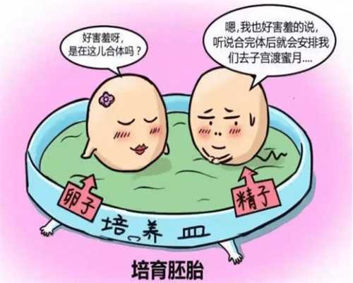 北京试管婴儿供卵生孩子的医院（试管婴儿供卵）