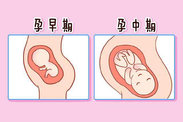 2024北京助孕指南：北京协和试管婴儿全过程
