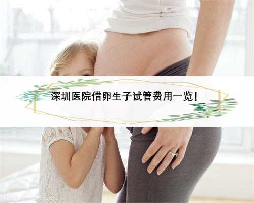 深圳医院借卵生子试管费用一览！